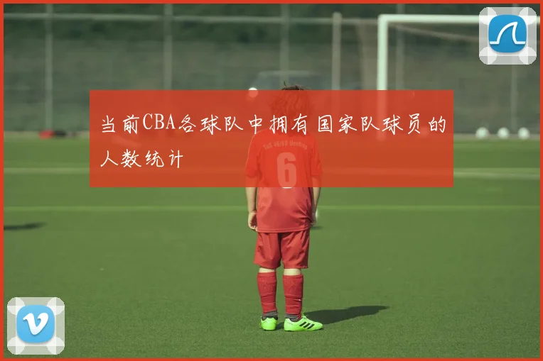 当前CBA各球队中拥有国家队球员的人数统计