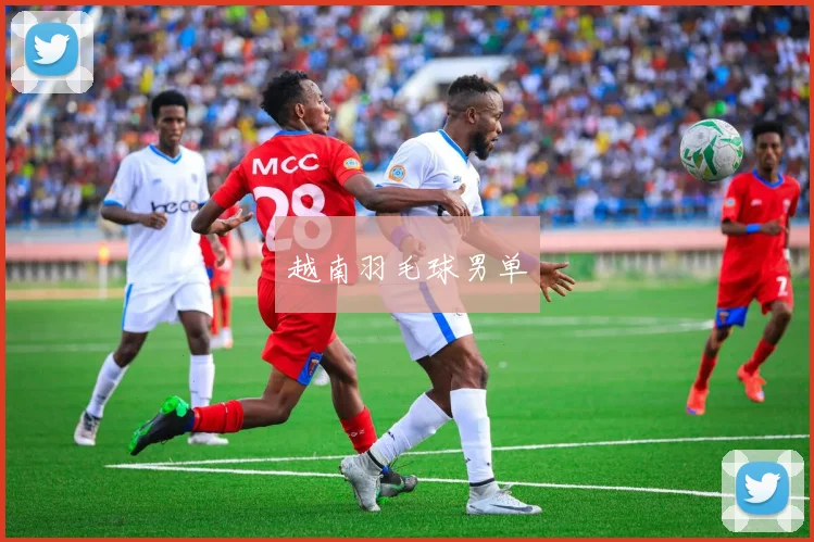 越南羽毛球男单