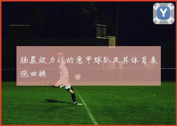 杨晨效力过的意甲球队及其体育表现回顾