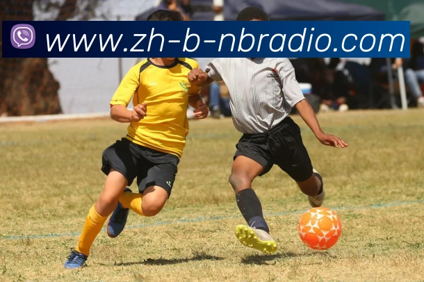 纬来体育发展历程